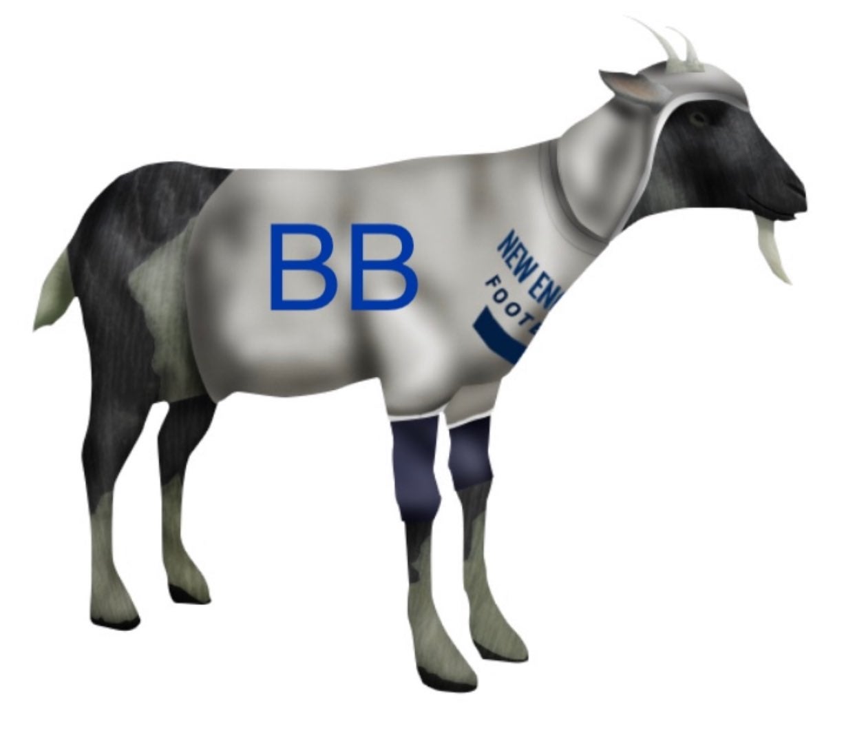 Los mejores memes de la salida de Bill Belichick de los Patriots