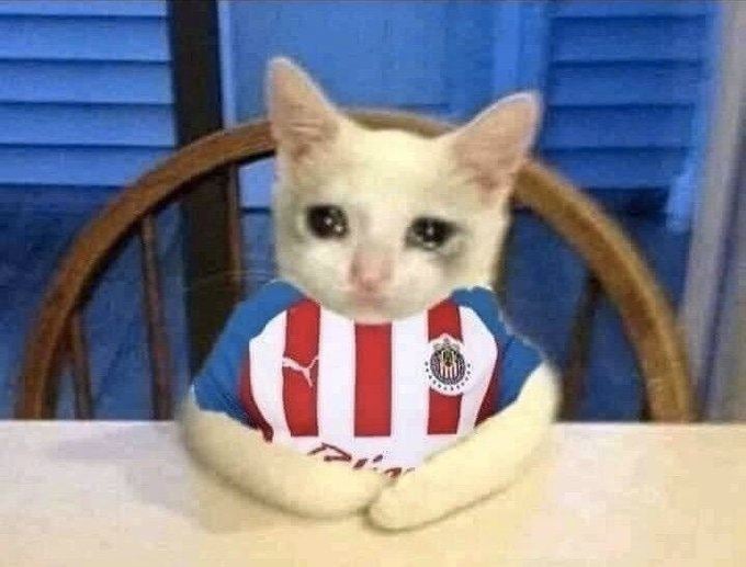 Así quedan los Chivahermanos