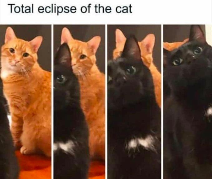 Los mejores memes que dejó el eclipse total solar 2024