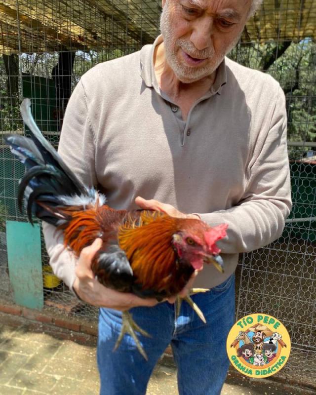 El Tío Pepe es un hombre de campo con amplia experiencia en la vida rural. / IG: @granjadeltiopepe