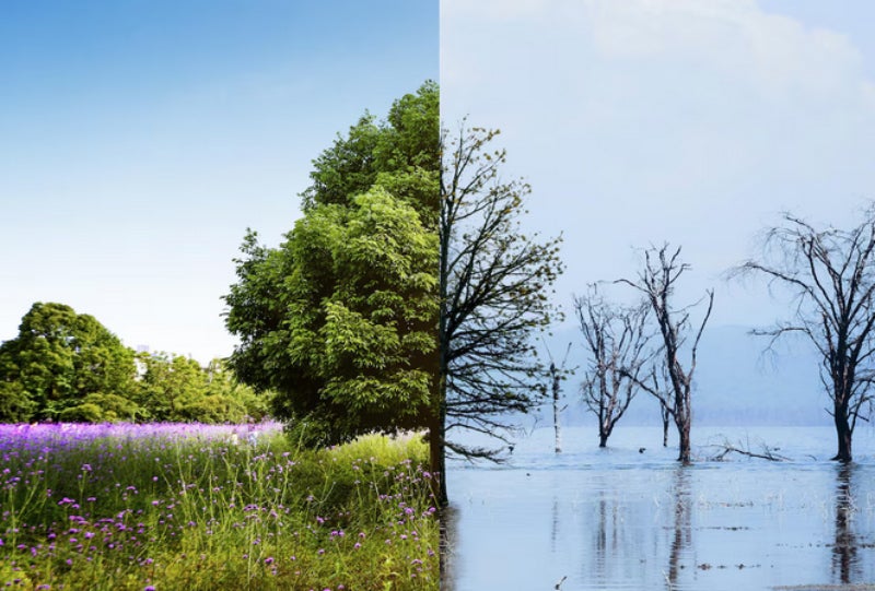 Inundaciones, sequías, olas de calor y contaminación, los principales problemas / FREEPIK