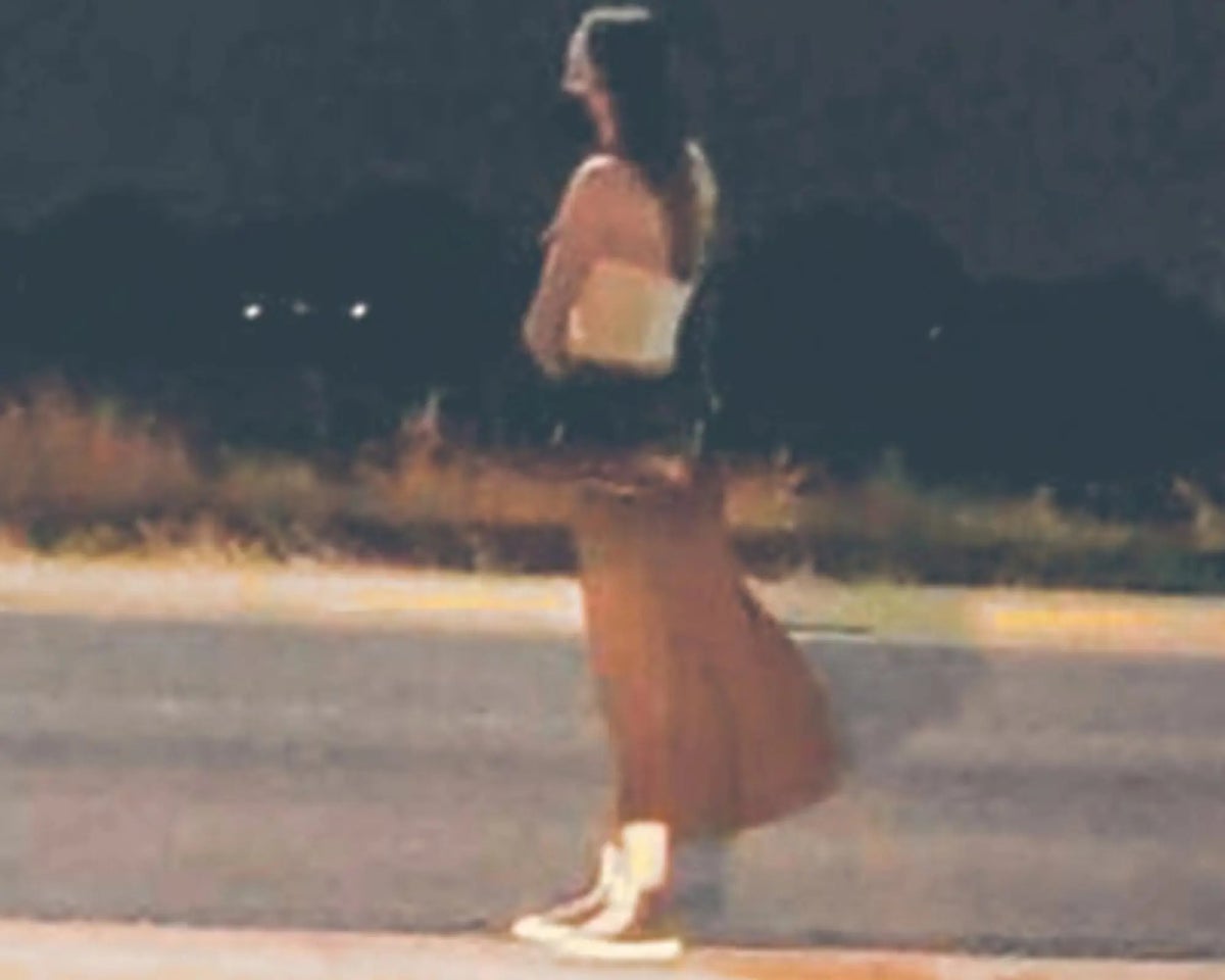 El caso Debanhi Escobar ha dejado más dudas que soluciones / Redes Sociales