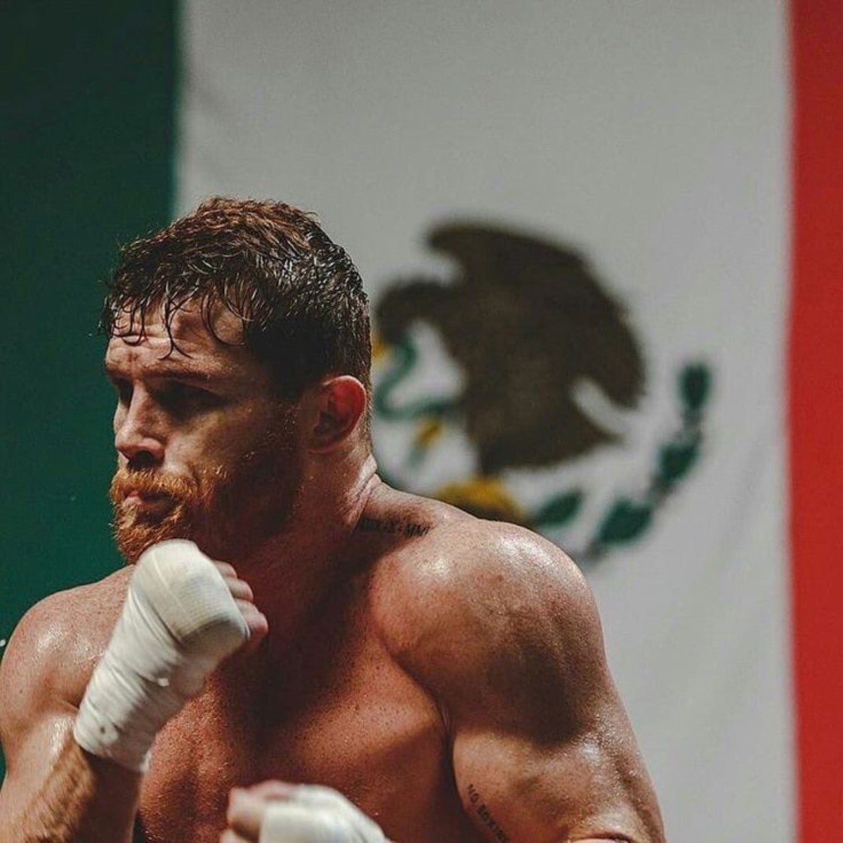 El pugilista mexicano | @RootsOfCombat