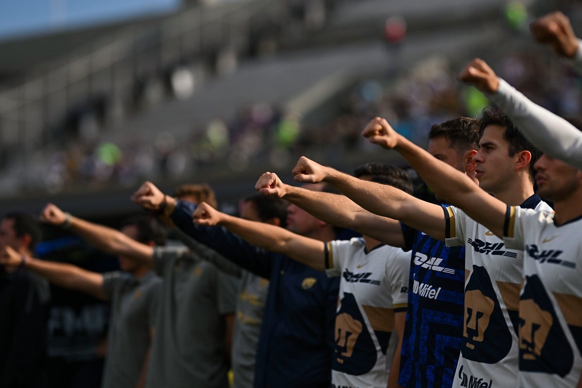 Los Pumas siguen buscando un nuevo atacante