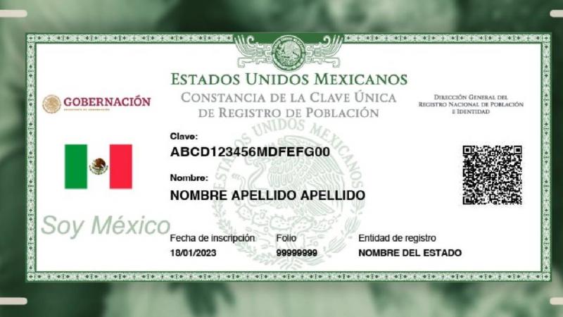 Los interesados deben ingresar al portal del Registro Nacional de Profesionistas, autenticar su identidad mediante CURP./ X 
