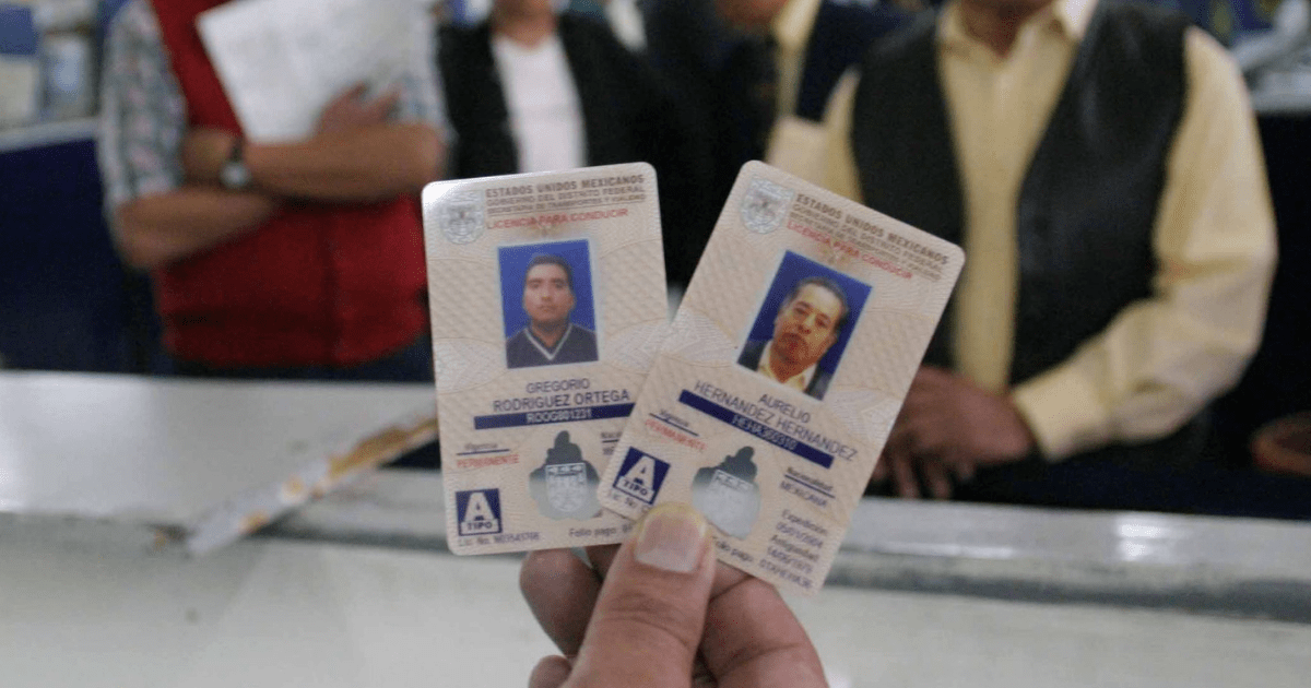 ¿Cómo tramitar la licencia permanente? / Ovacioens