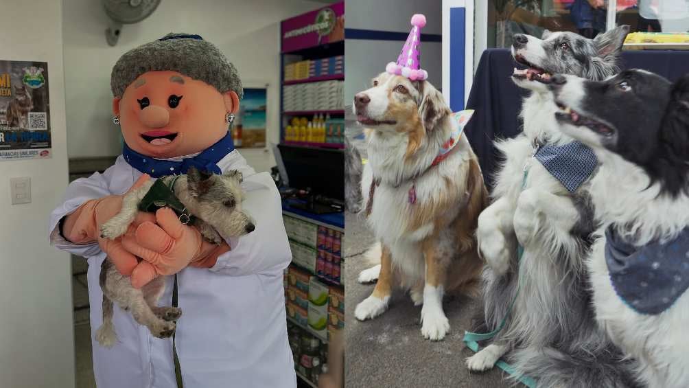 Hay consultas desde 75 pesos y otros servicios a bajo costo/IG: @drsimi_oficial