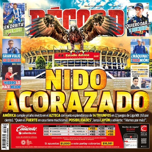 Nido acorazado