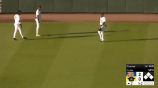 ¡Reptil beisbolero! Tortuga invade el 'diamante' en pleno juego de beisbol
