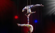 Megacirco Navideño 2025: fechas, horarios y cómo asistir gratis