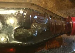 La botella de refresco con una rata muerta en el interior