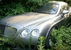 Un vehículo de lujo entre la maleza del corralón en China