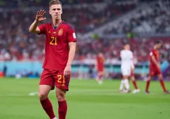 Dani Olmo con España en Qatar 2022