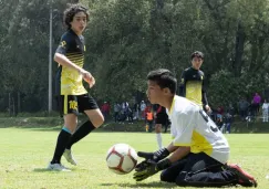 La Copa RÉCORD vivirá su segunda edición