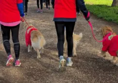 ¡Habrá carrera de perros en CDMX! Checa cuándo, dónde y cuáles son los premios 
