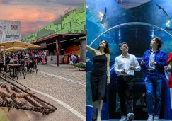 Acuario Michin a 99 pesos en vacaciones de verano: Sólo aplica en este horario