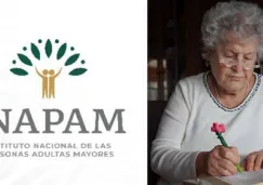 Credencial INAPAM: quiénes pueden registrarse en agosto para recibir apoyo de hasta 3 mil pesos bimestrales
