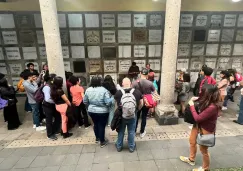 Desde películas hasta artículos de colección podrás encontrar.