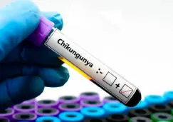 ¿Nueva pandemia? Reportan 7 mil casos de chikungunya en China 