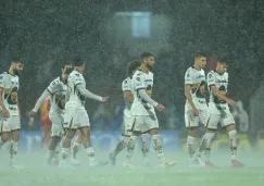 ¿Partido de Waterpolo? 