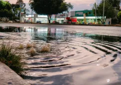¿Qué hacer en caso de inundaciones? Esto recomienda la UNAM