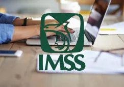 IMSS 2025: Cómo consultar y descargar tu constancia de semanas cotizadas