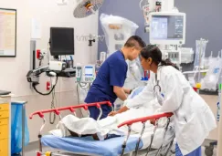 Confirman otra muerte de rabia humana en México: ¿Hay que preocuparse?