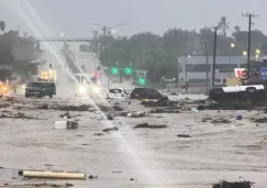Las lluvias torrenciales y los fuertes vientos han causado deslaves y daños materiales.