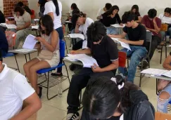 Puedes aplicar al programa ACREDITA-BACH.