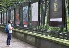 Exposición '10 años de F1 en México' en Chapultepec