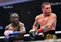 Canelo podrá buscar la revancha ante el norteamericano