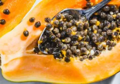Estos son 5 grandes beneficios por comer semillas de papaya