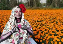Vivirás un recorrido de más de tres horas por canales adornados con flores.