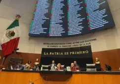 Ley de Amparo: Ya la aprobaron, pero ¿en qué consiste? Te explicamos