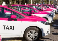 Solo mil 293 unidades son modelos 2024 y 2025.