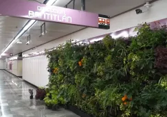 Así se verá el Metro CDMX con plantas y árboles dentro de sus instalaciones