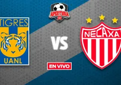 Tigres vs Necaxa EN VIVO Liga MX Jornada 13 Apertura 2025