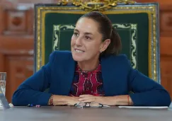 La mandataria percibe ingresos brutos anuales por 2.8 millones de pesos.