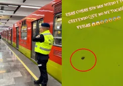 El amigo de seis patas fue captado en un asiento junto a otra pasajera. El amigo de seis patas fue captado en un asiento junto a otra pasajera.