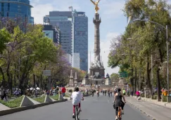 La aplicación incluirá rutas para corredores y ciclistas en toda la capital. La aplicación incluirá rutas para corredores y ciclistas en toda la capital.
