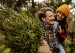 Árboles de Navidad 2025 en el Estado de México: dónde comprarlos y cómo elegirlos