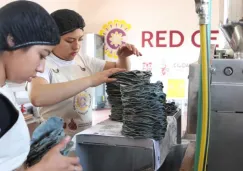 Presentan las tortillas del Bienestar: ¿Cuánto costará el kilo? 