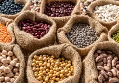 Así puedes conseguir los Frijoles Bienestar a 30 pesos el kilo en la CDMX