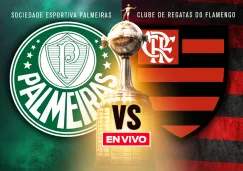 Palmeiras vs Flamengo EN VIVO Copa Libertadores Final