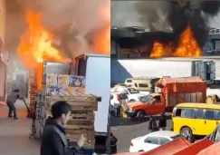 Por fortuna, las llamas no pasaron a otros lados de la CEDA.