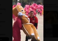 Galletas de Jengibre se desmayan durante el Bolo Fest 2025 por golpe de calor