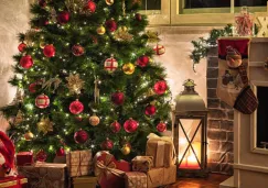 Árbol natural o artificial: lo que debes saber antes de elegir tu árbol navideño