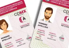 Licencia permanente 2026: estos son los documentos indispensables para tramitarla Licencia permanente 2026: estos son los documentos indispensables para tramitarla