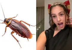 Video: Rosalía grita y se levanta al ver una cucaracha voladora en entrevista Video: Rosalía grita y se levanta al ver una cucaracha voladora en entrevista