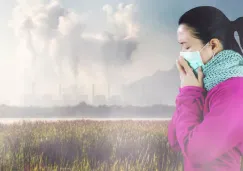 Los siete estados que conforman la Megalópolis estarán vigilados. Los siete estados que conforman la Megalópolis estarán vigilados.